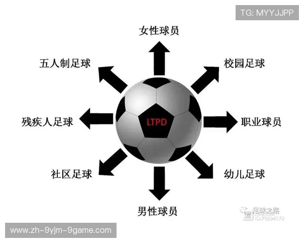 足球WIMP模型对足球比赛策略数据分析的贡献